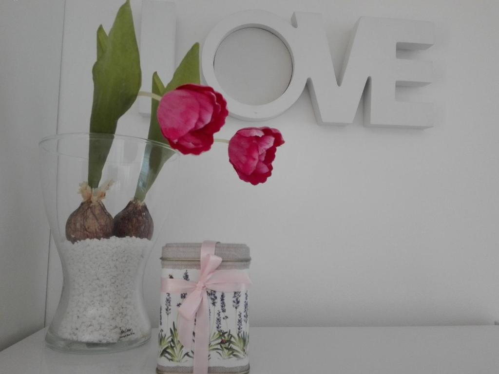 Apartment - Ivo photo 4