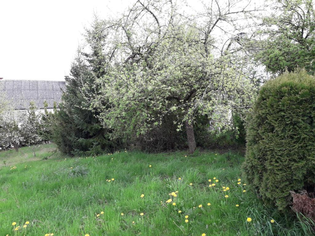 Vakantie boerderij De Boerenzwaluw photo 4