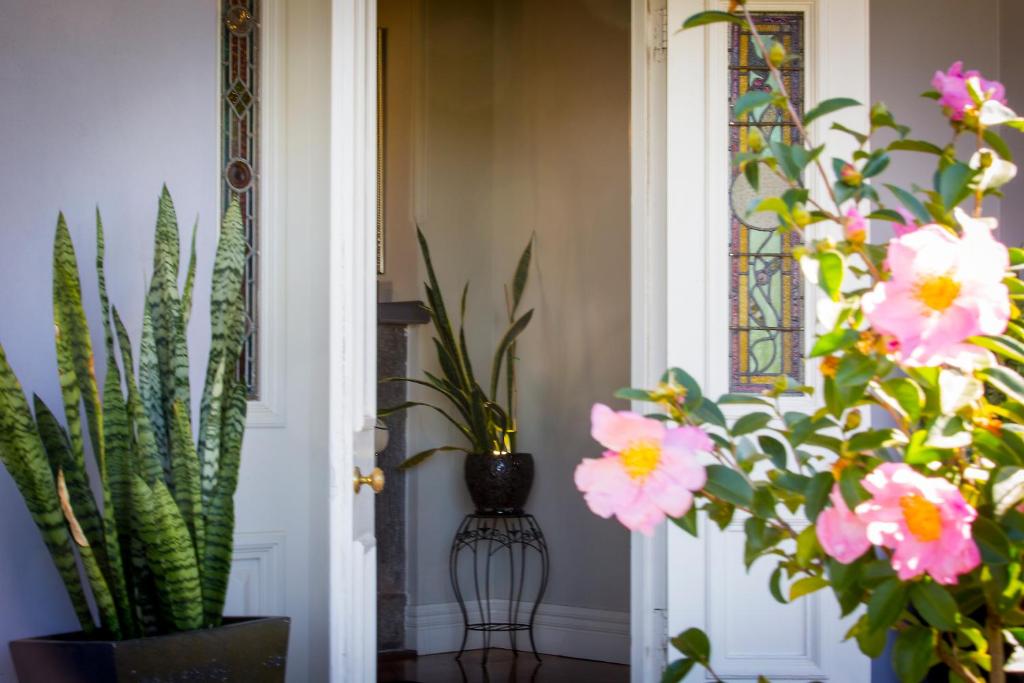Camellia Cottage photo 3