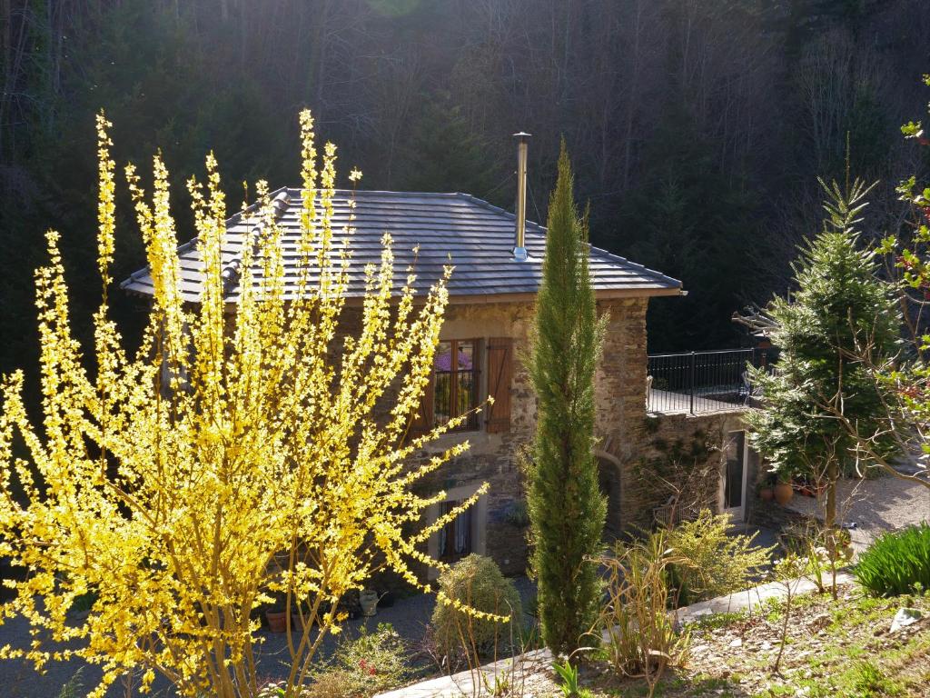Le Martinet photo 3