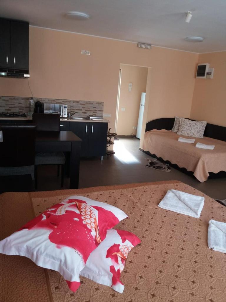 Casa Misu photo 1