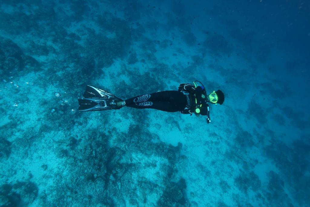 Scuba Inn photo 2