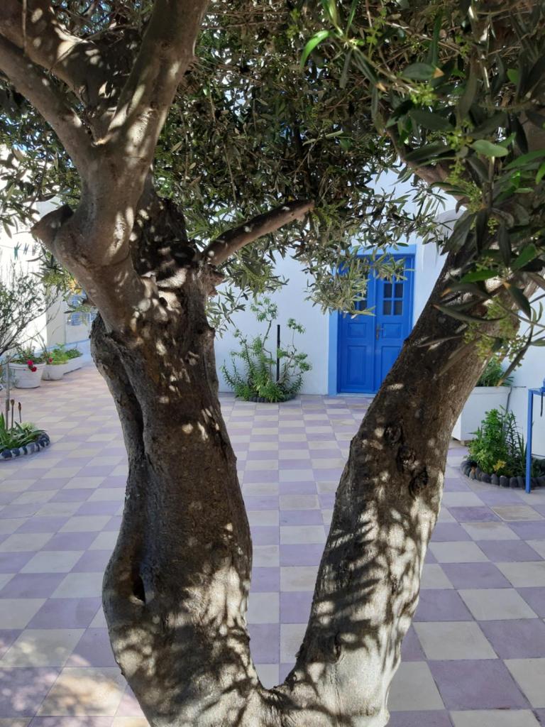 Katerina Kafieri Apartments photo 3