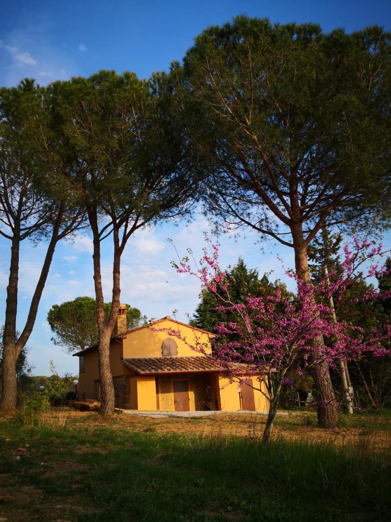 Il Montedoro photo 4