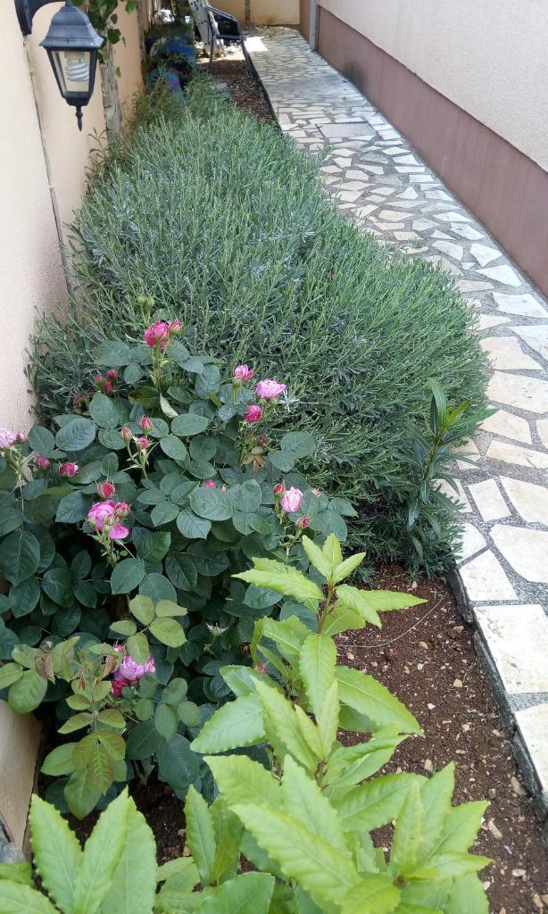 Villa Dolce Vita photo 4