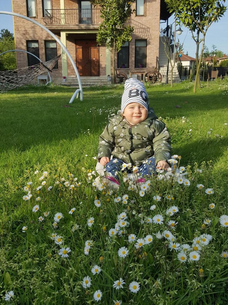 Sapanca Atlı Köşk Konaklama photo 4