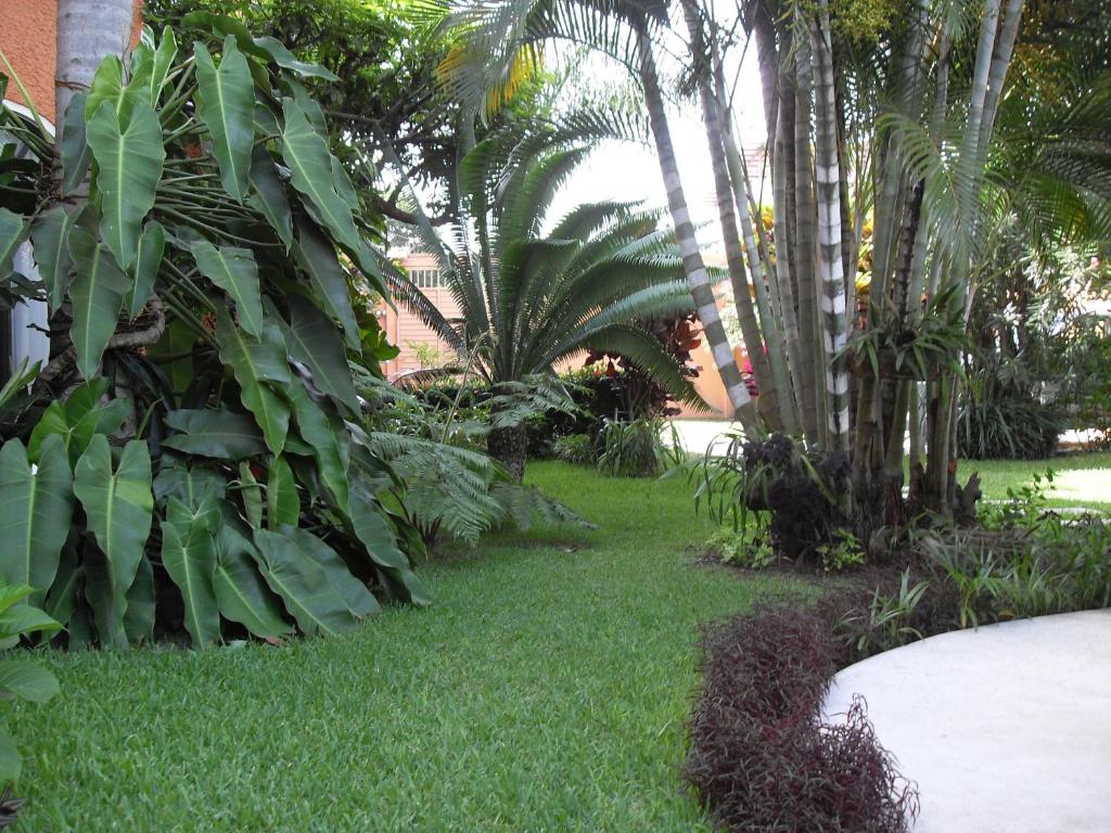 Hotel Playa Cristal photo 2