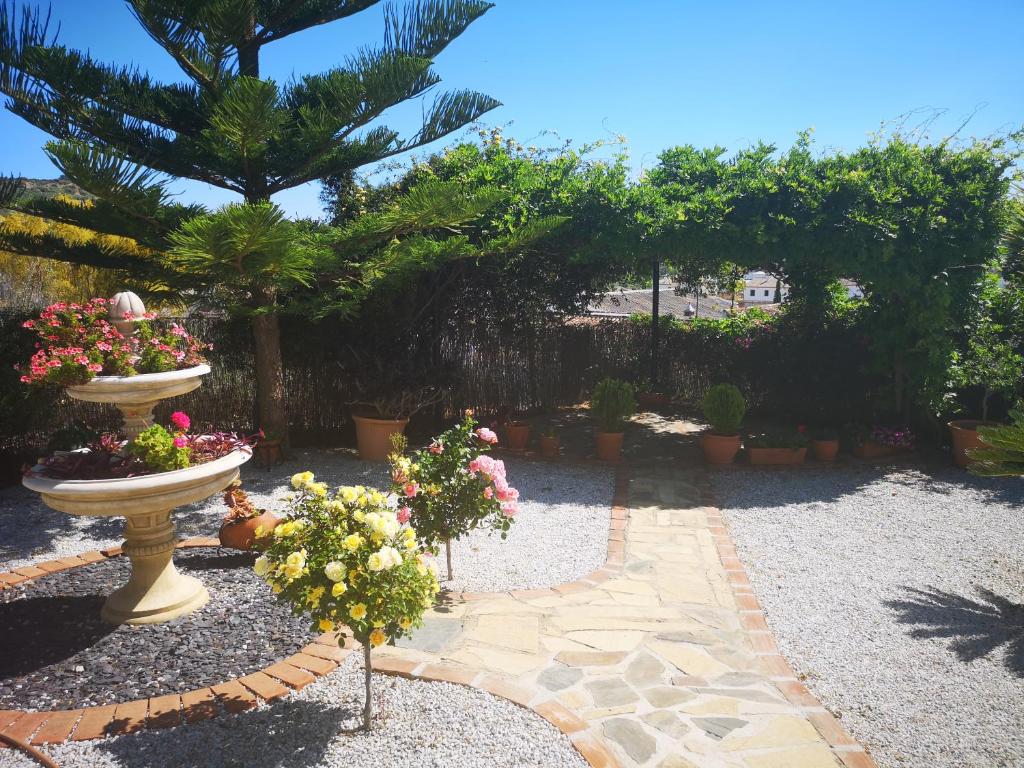 villa casa las fresas photo 2