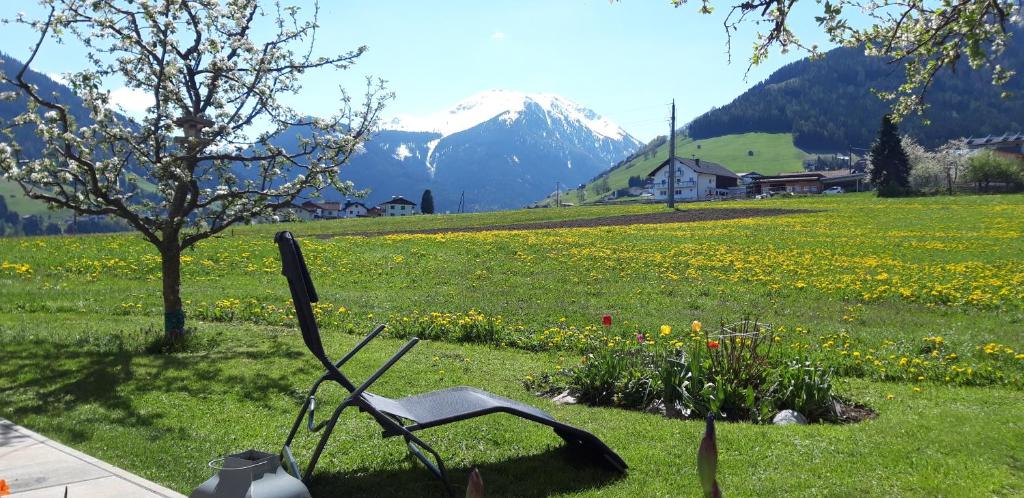 Lacknerhof photo 4