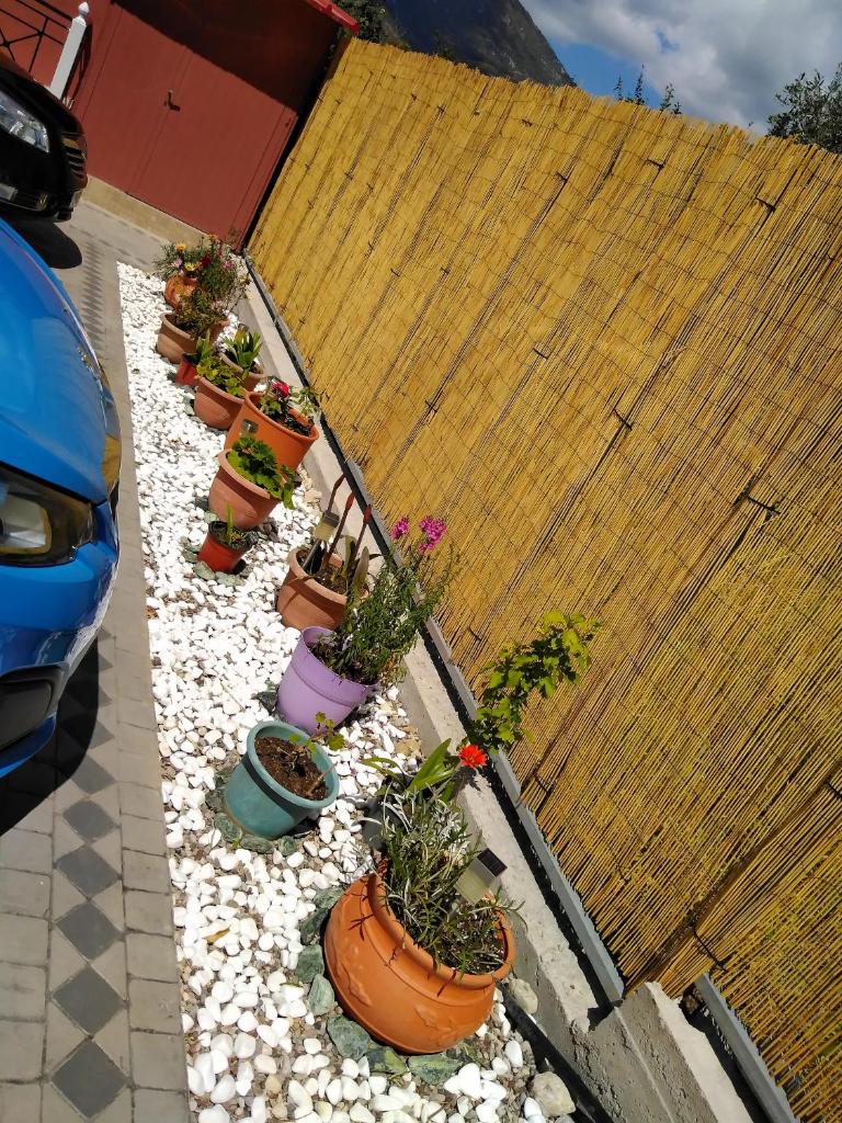 Stella 's Sea Front Apartments photo 1