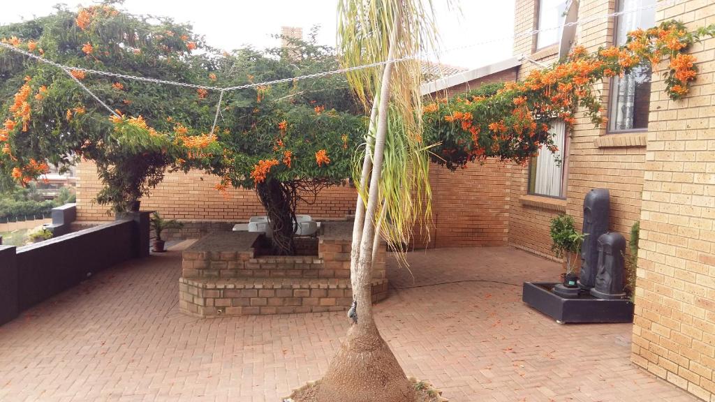 Arek's Place photo 2