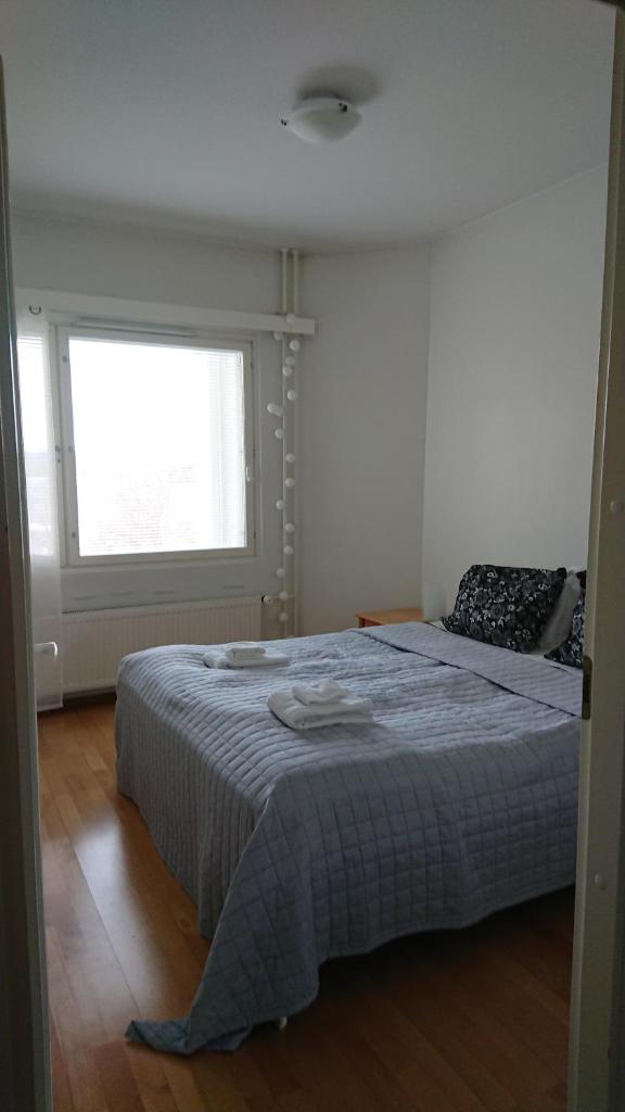 The cosy apartment with own private sauna and balcony