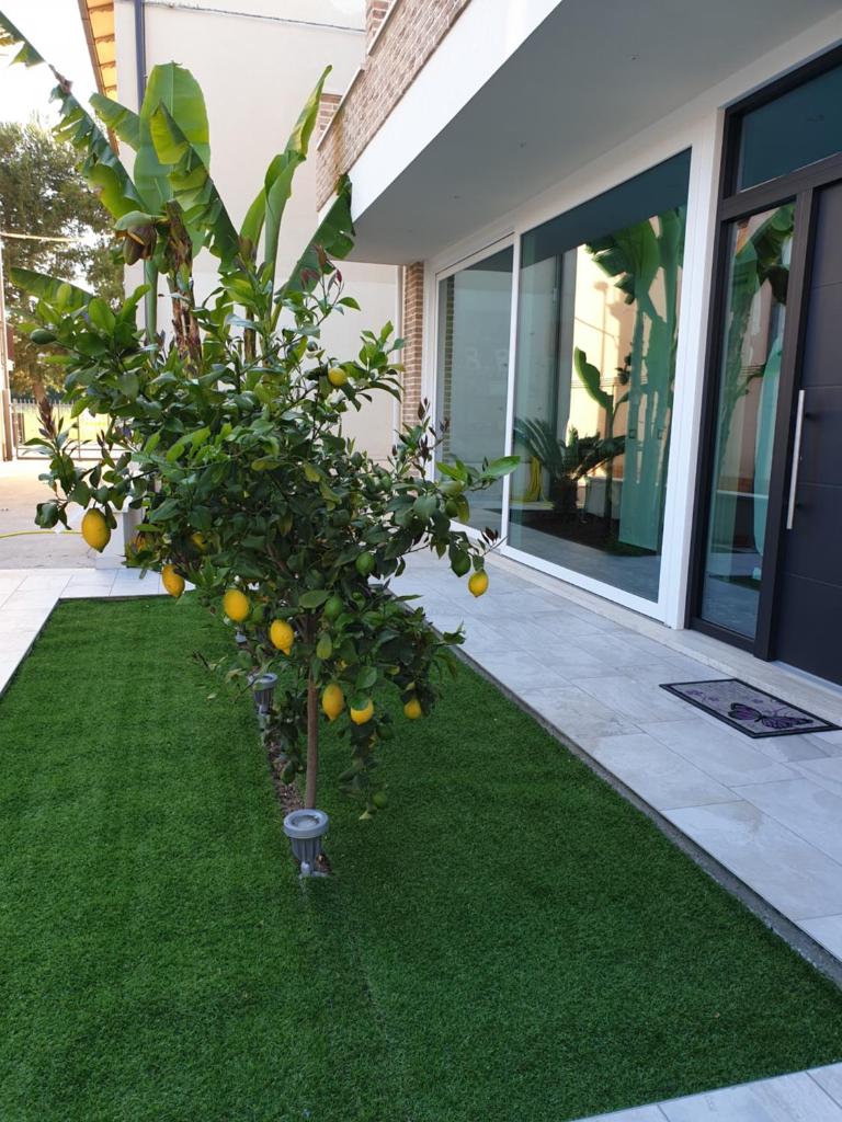 la casa dei limoni photo 1