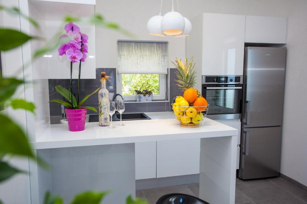 Apartment Ana photo 2