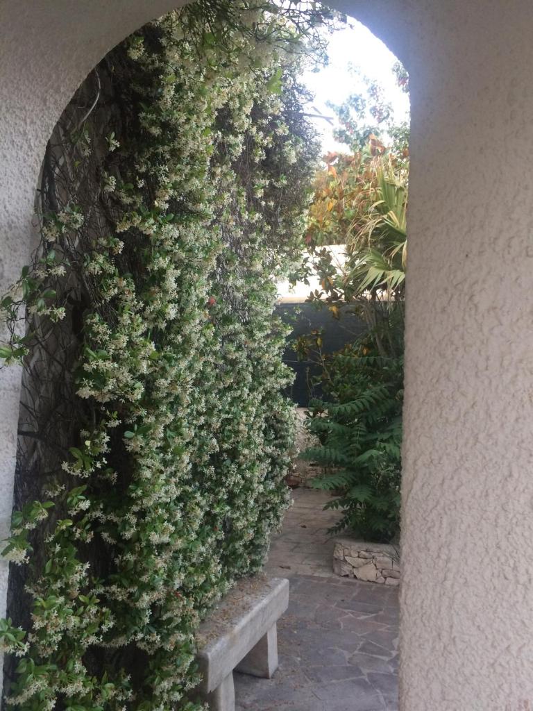 Villa Frida photo 1