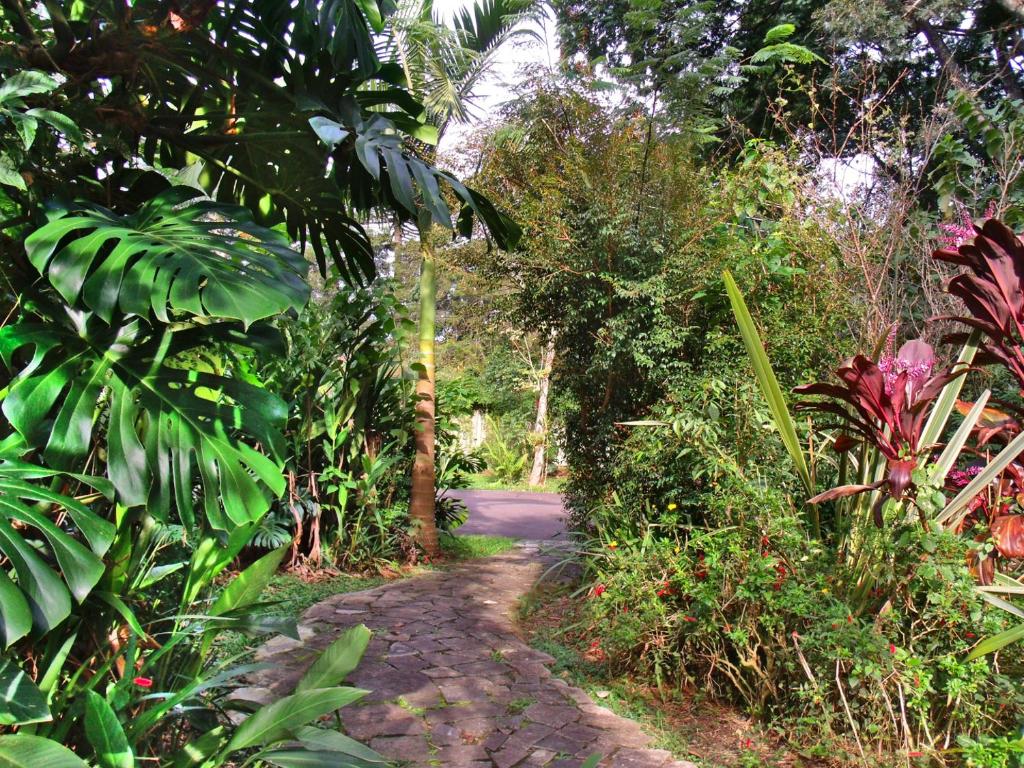 Hotel Curitiba Campo Comprido photo 4