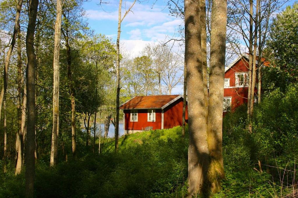Cozy cottage with sea view photo 1