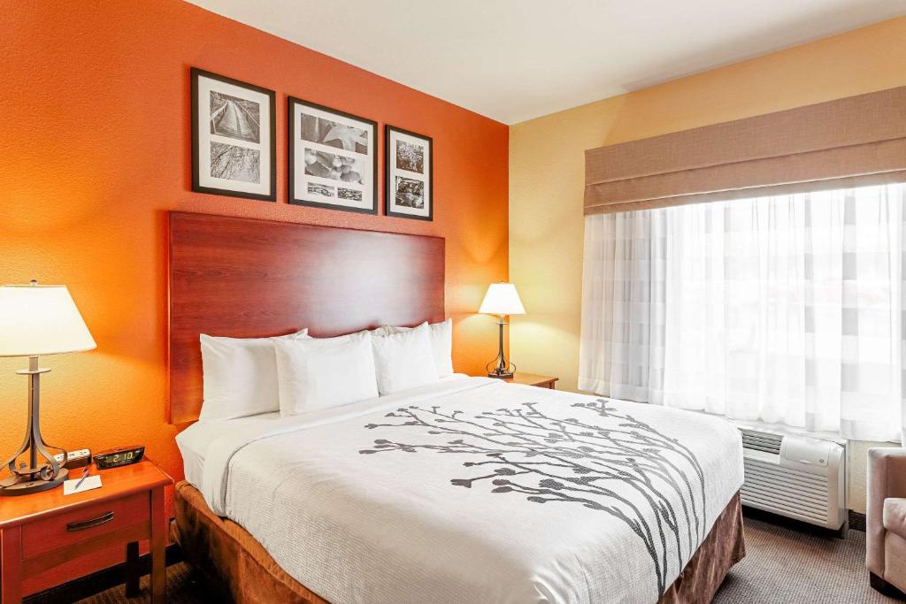 Sleep Inn & Suites Tyler photo 3
