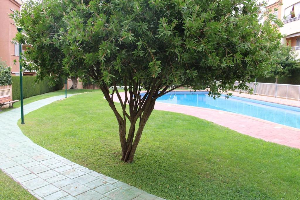 Apartamento planta baja acceso directo piscina photo 4
