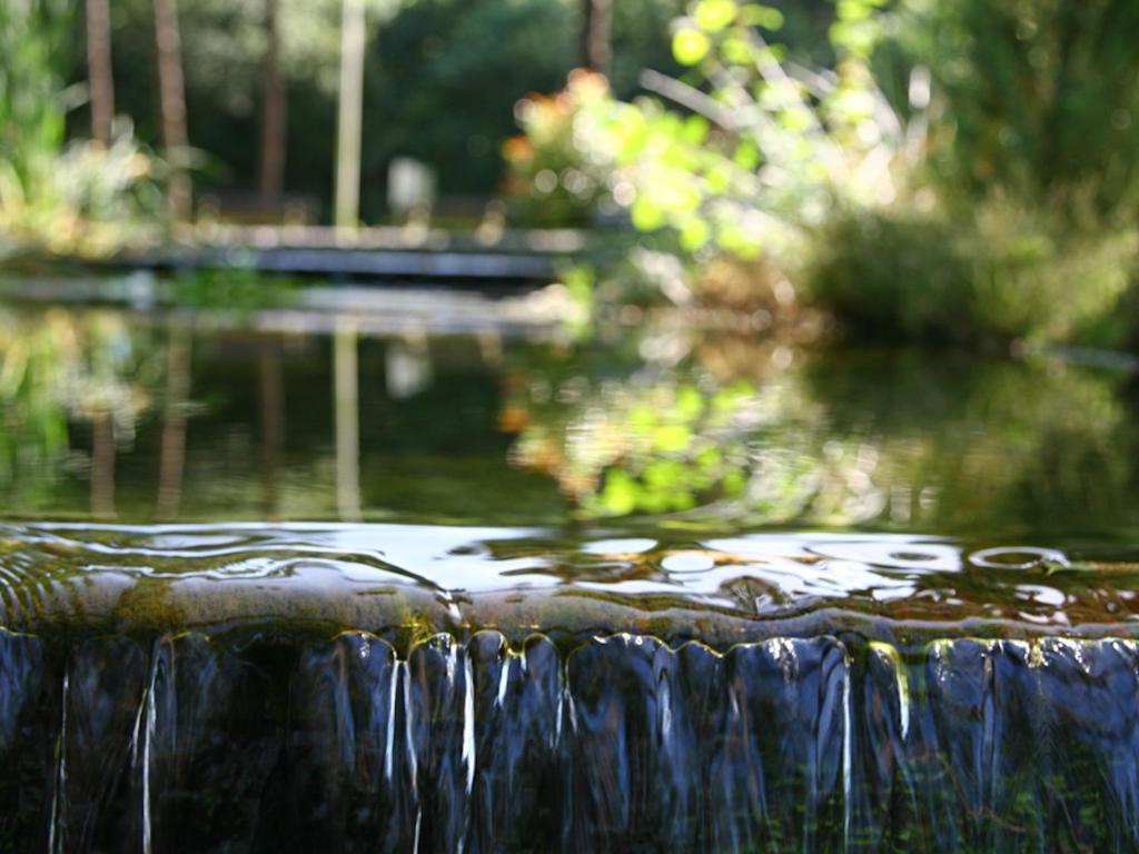 Vakantiepark Hessenheem 5 photo 4