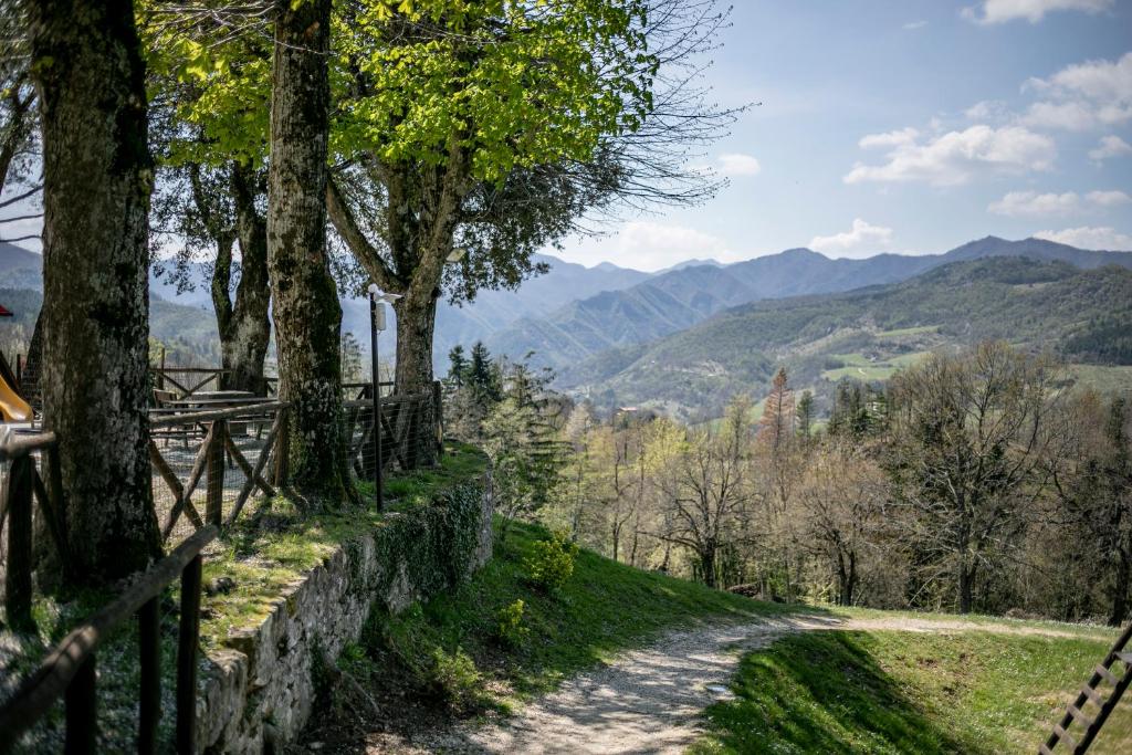 Fattoria Cà Di Gianni photo 1