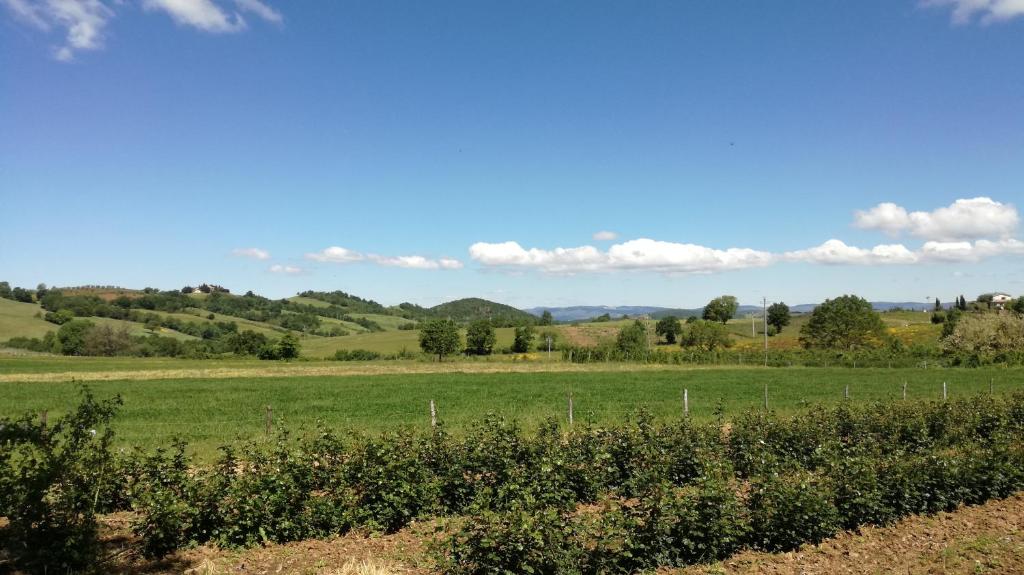 Agriturismo cavallin del papa photo 4