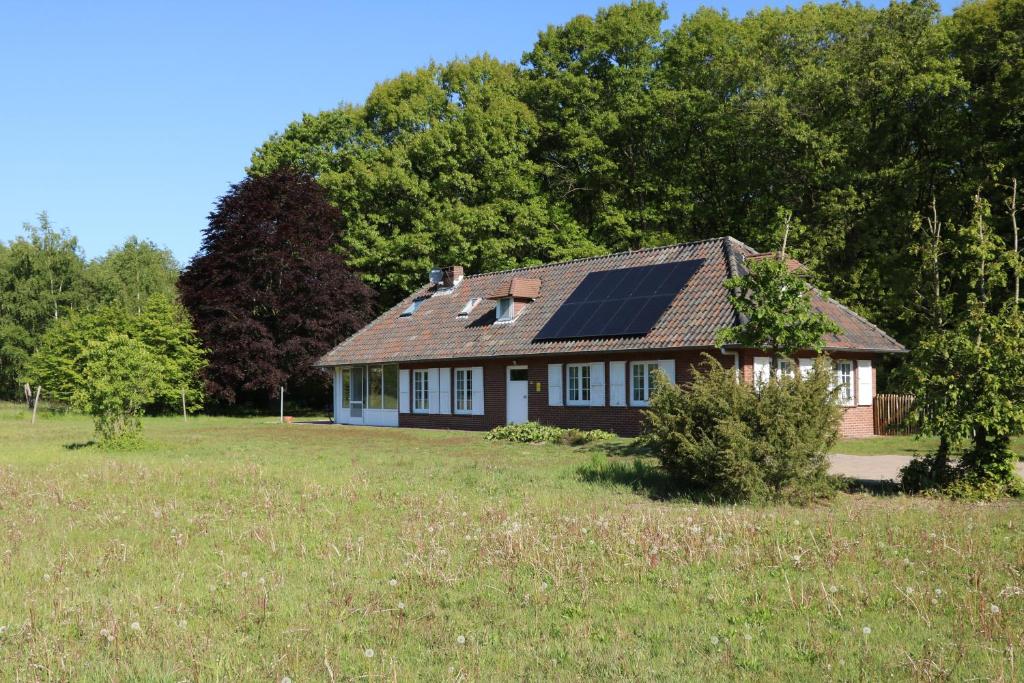 Heidebos photo 1