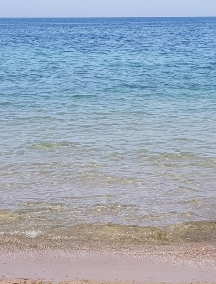 SAINT BLUE BEACH photo 3