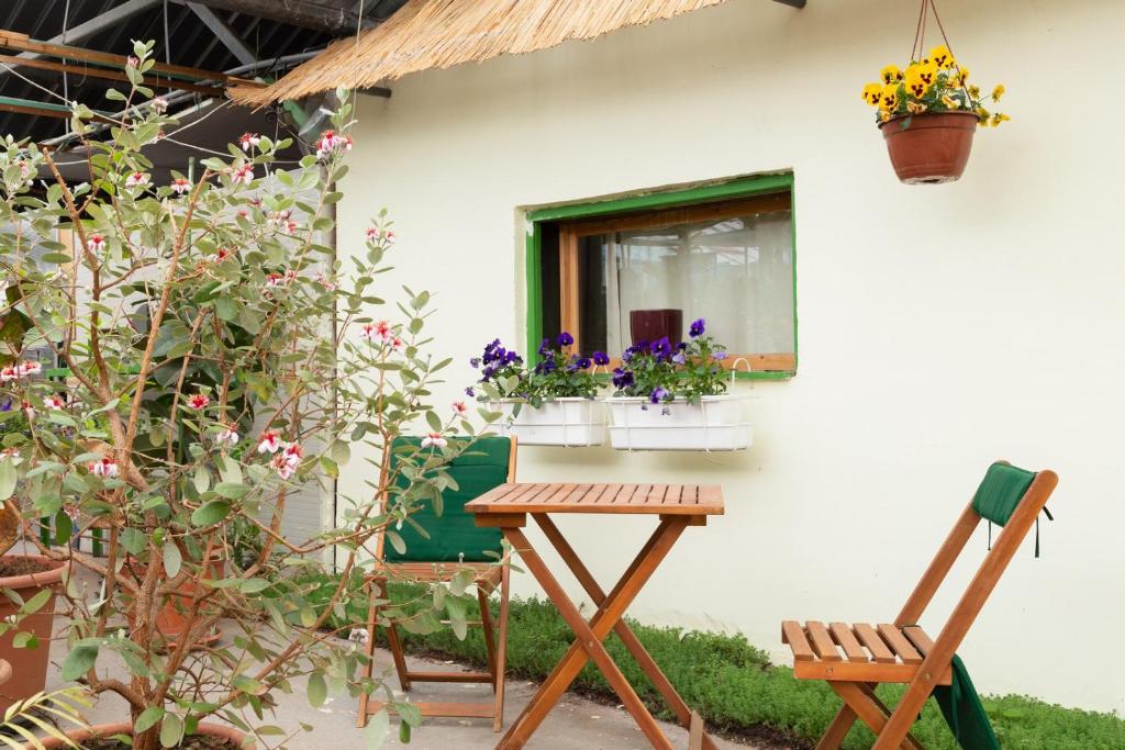 Четырехместный (Четырехместный номер с общей ванной комнатой), Rastlinky.sk Garden Centre Reed Guestrooms