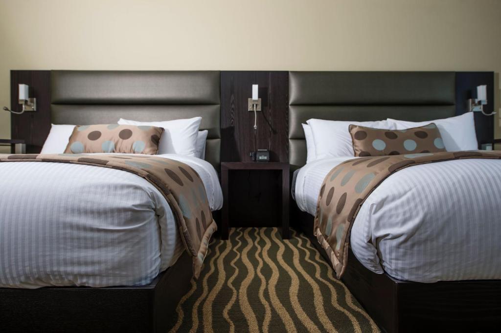 Hotel Levesque photo 2