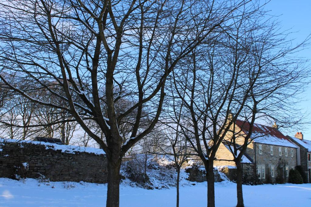 White House Cottages - Tap to explore photos