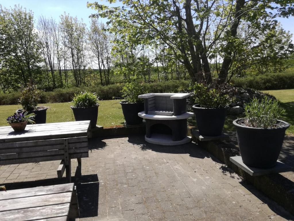 Rosengaard holiday apartment and B&B photo 3