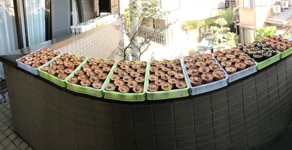 Nakagawa's Cozy House photo 4