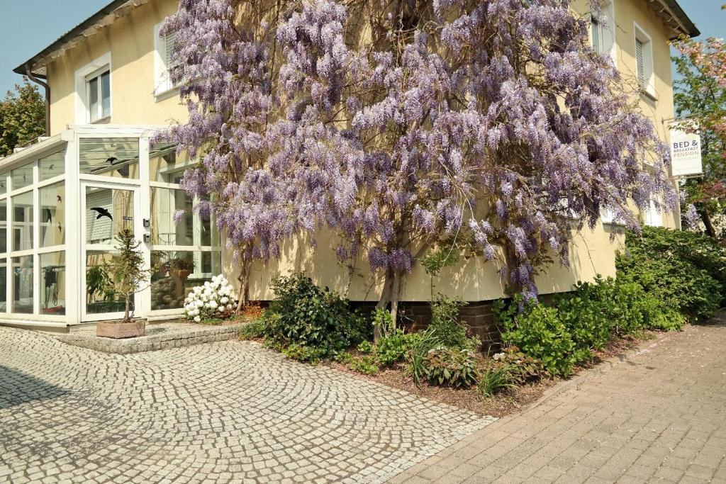 Pension Franzbäcker photo 2