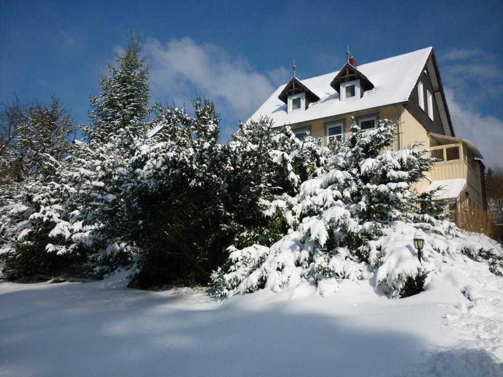 Pension Haus Martha photo 3
