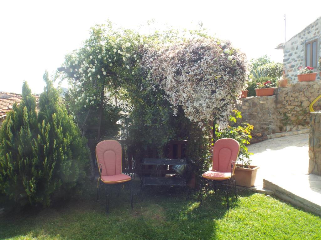 The Pomegranate's House photo 2