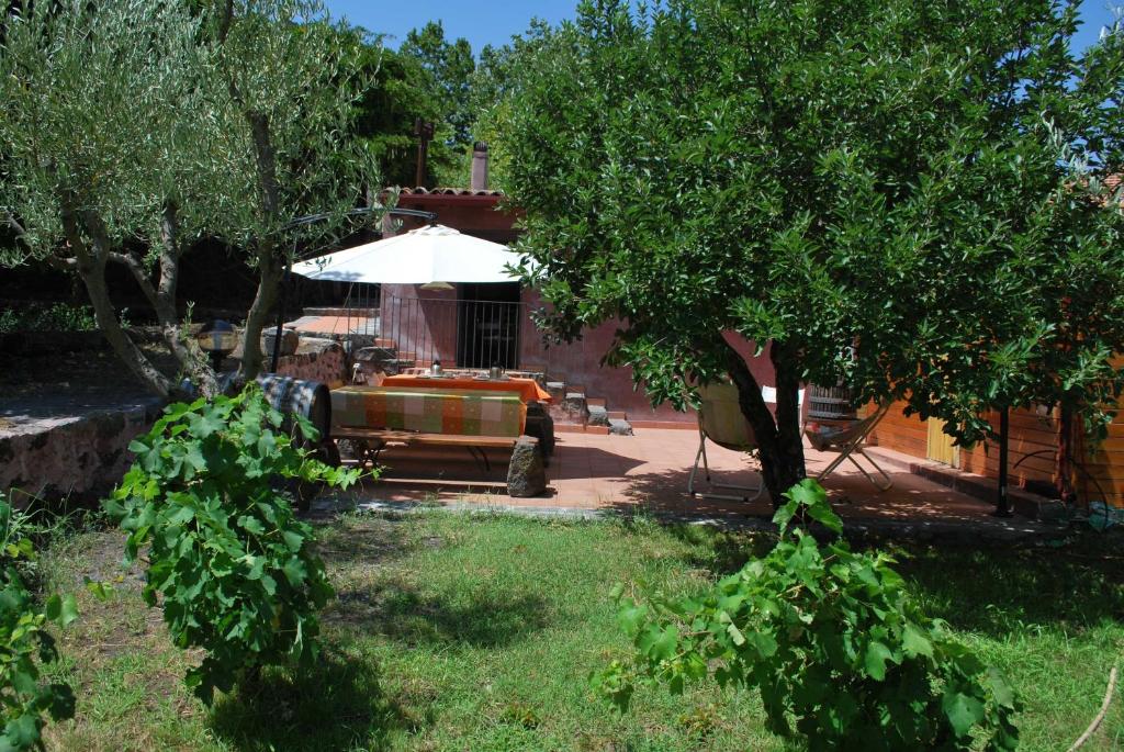 Case Zuccaro photo 4