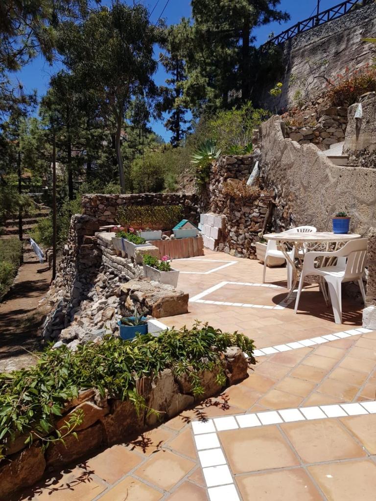 El Mirador photo 4