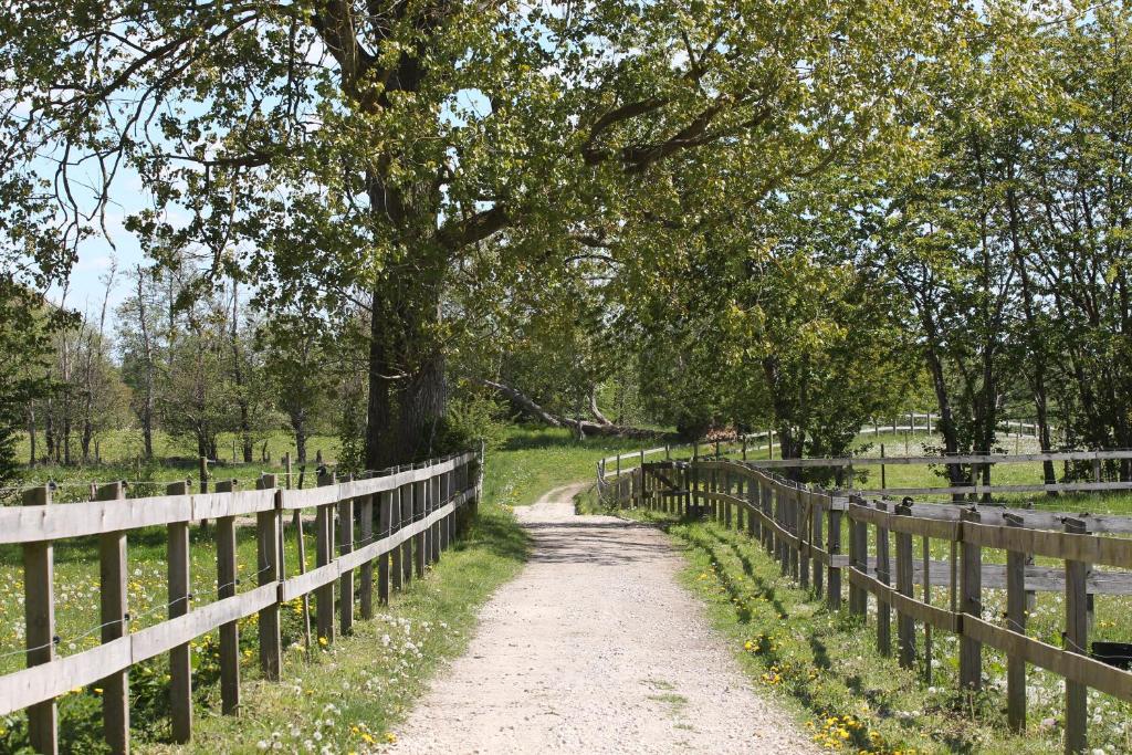 Kildegaarden photo 2