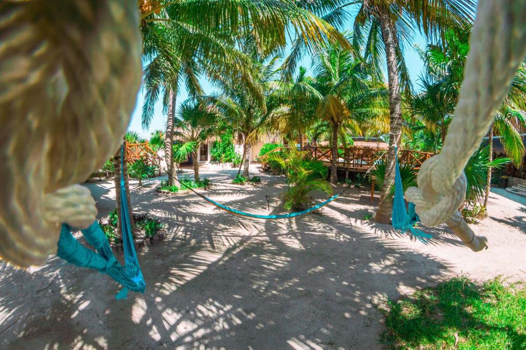 Ensueño Holbox & Beach Club photo 4