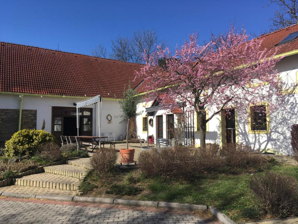 Český Statek photo 2