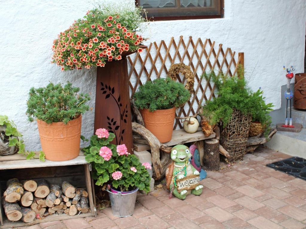Ferienwohnung Bei Mutti photo 2