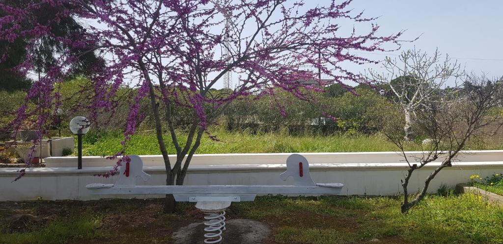 Stella del Sud Guesthouse photo 3