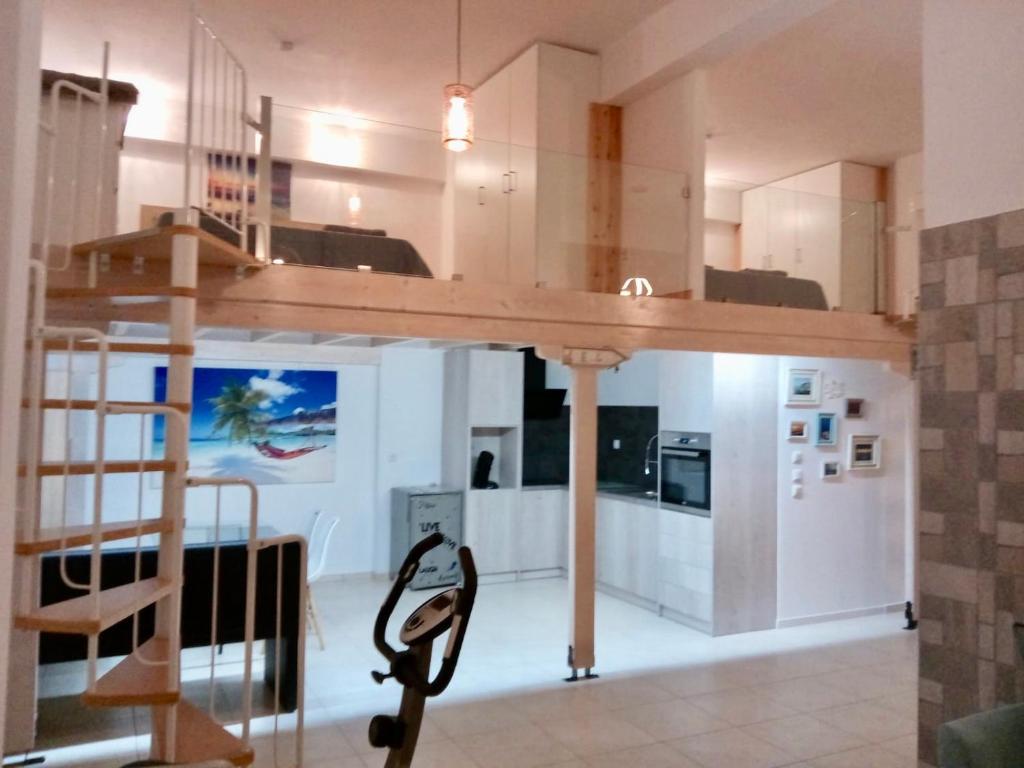 Vonitsa Loft Apartment 1 photo 2