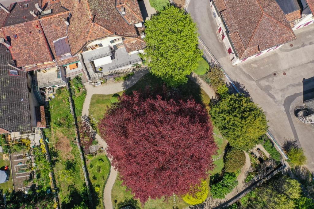 Magnifique maison vigneronne avec grand jardin photo 2
