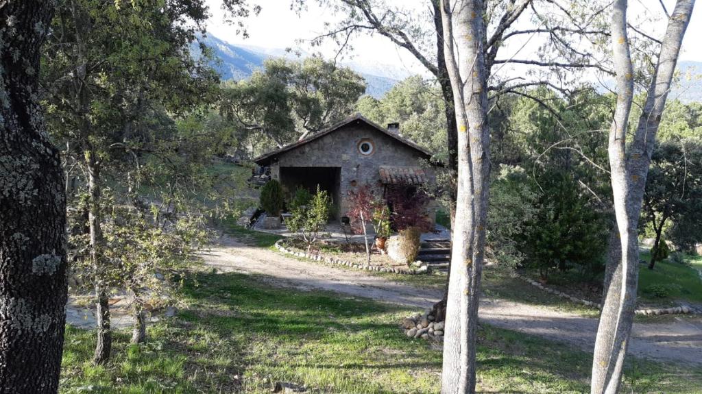 Casa rural La Borriquita photo 4