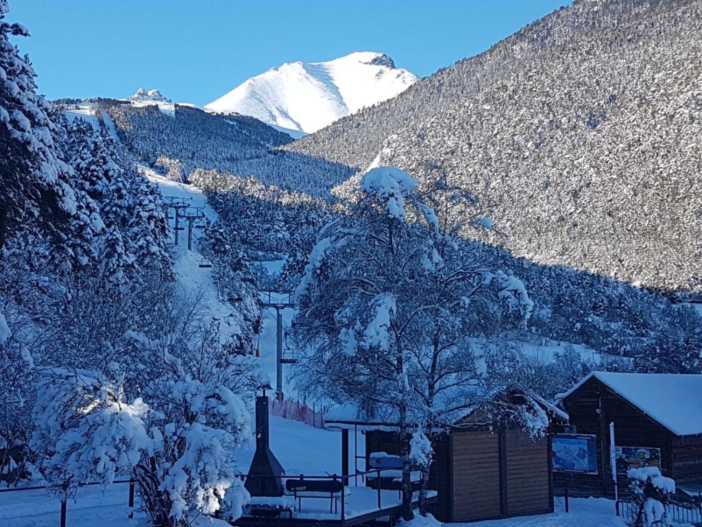 Alberg Les Daines photo 4