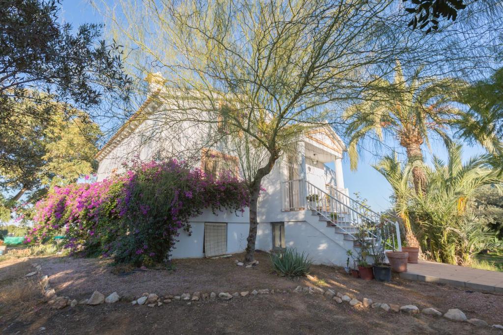 Villa Lago Sol photo 1