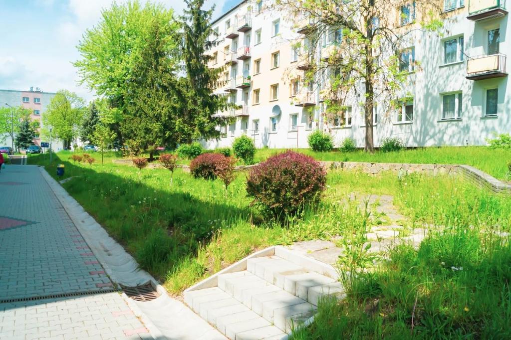 Alma Apartments Starachowice photo 3