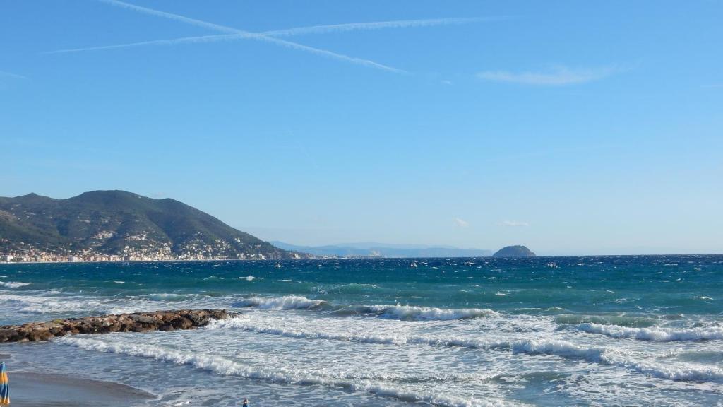 Hotel Delfino photo 4